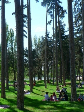parc-bois-de-boulogne