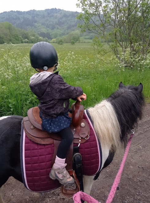 ranch familial Western Poneys