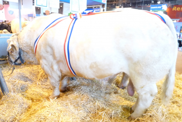 Salon de l'agriculture