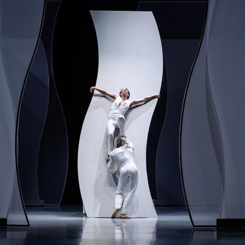 Noces & Opus 40