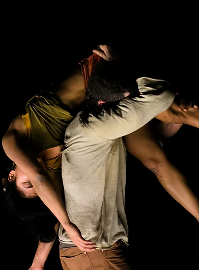 Phasmes - Cie Libertivore