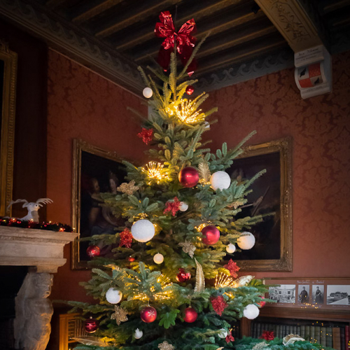 Noël au Château de Breteuil : sapin