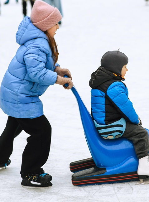 Les patinoires de France : jardin des glaces