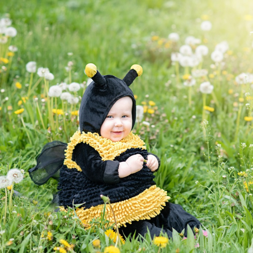 La Fête du Miel et des abeilles 2025 : Un enfant déguisé en abeille dans un jardin