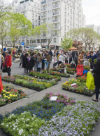 Marché aux plantes de Gratte-Ciel Villeurbanne