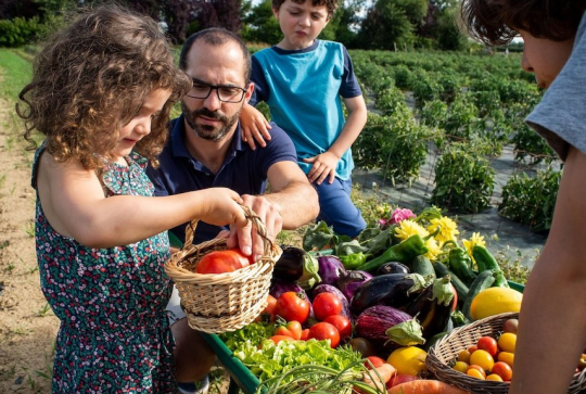 Cueillette de Rutel : enfants et légumes