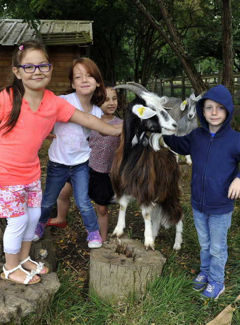 Photo Ferme des Iris