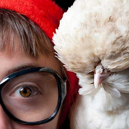 Prends en de la graine