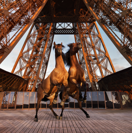 Paris Eiffel Jumping