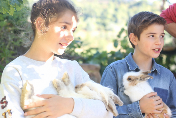 Jardins Partagés Terra Segurana : Lapins