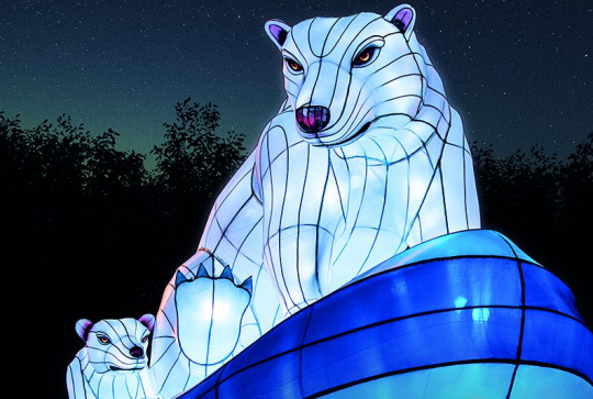 Espèces en voie d'illumination au Jardin des Plantes