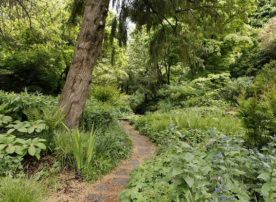 Fête de la nature Jardin des plantes ©RICHARD-MA_MNHN