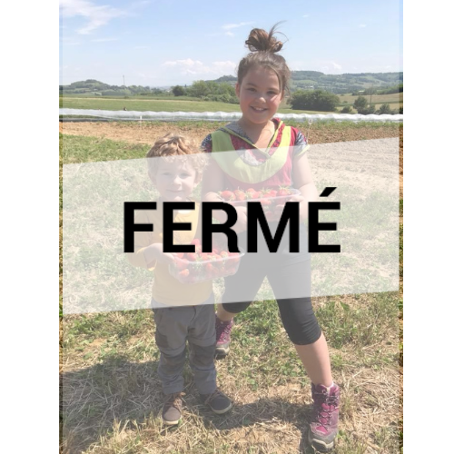 Les Jardins de Chaponnay : Cueillette de fraises par des enfants