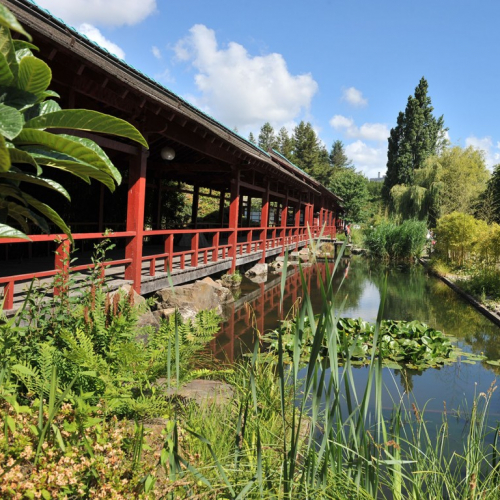 Jardin japonais - Île de Versailles, Nantes