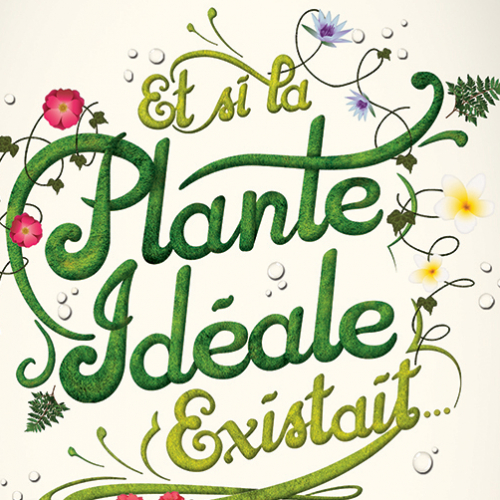 Et si la plante idéale existait ?