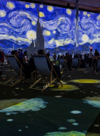 Expo Van Gogh - The Immersive Experience