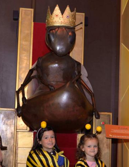 La Folie de Finfarine