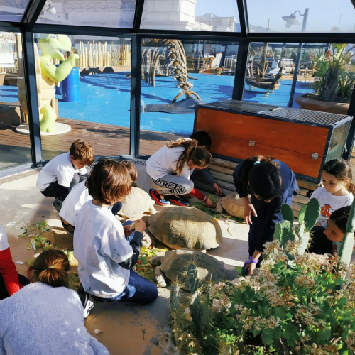 Animations au Musée Océanographique