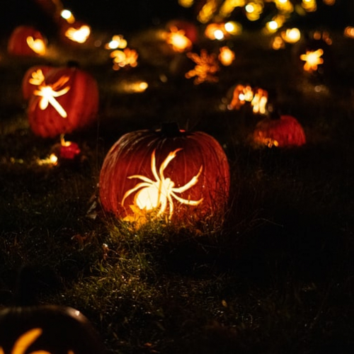 Halloween à Nice Valley