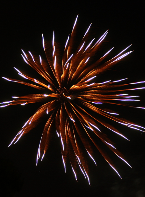 Fête Nationale à Feyzin : Feu d'artifice