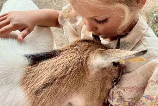 La Mini Ferme de Justin