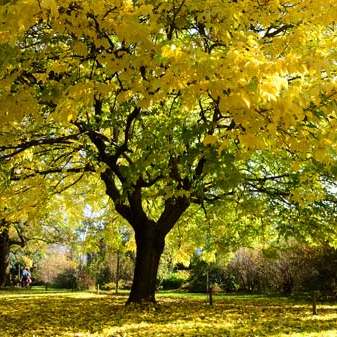 Activités au parc de la tête d'or