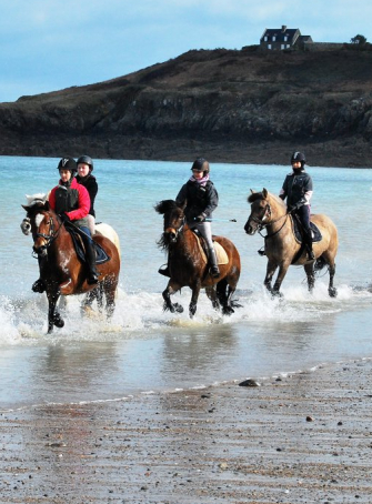 Stages d’équitation à la Haute Hairie pour les vacances