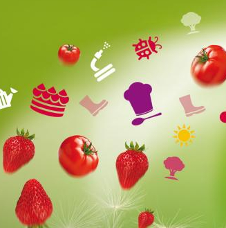 Fête de l'été Epicurium