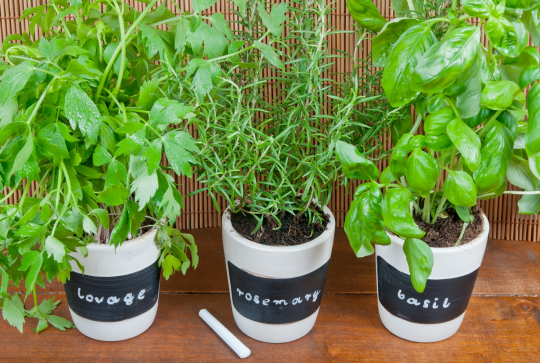 Pot de fleurs DIY peinture ardoise