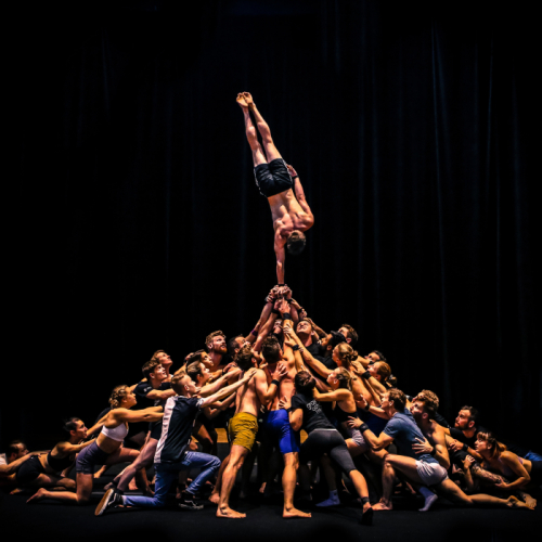 Gravity & Other Myths - The Pulse