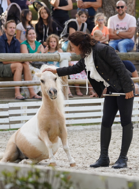 Le Haras de la Vendée