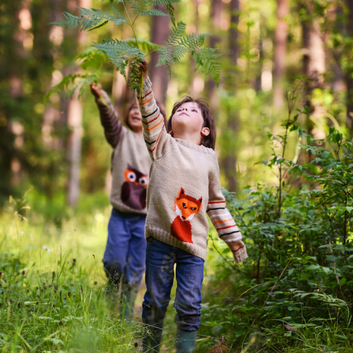 Le top des balades en forêt en famille près de Paris