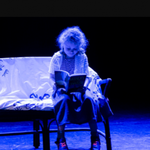 Vice Versa : Théâtre en miettes