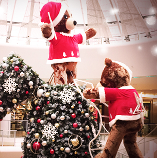 Concours photo 2016 Mon beau sapin de Noël