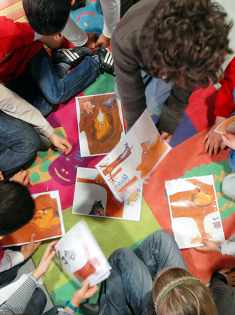 Les activités permanentes du Muséum de Toulouse