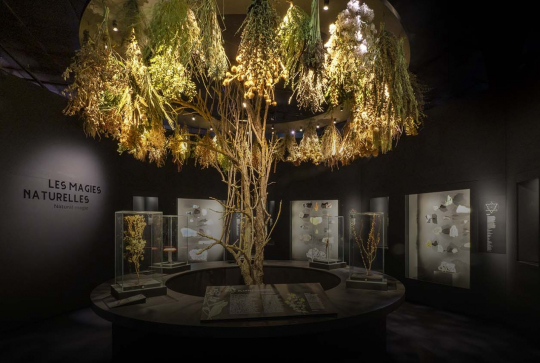 exposition "magique" à confluences