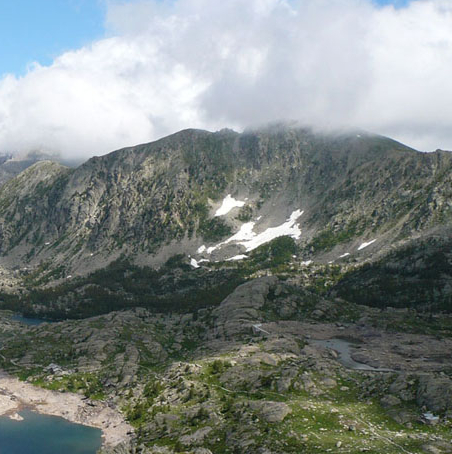 Expo Les esprits de la nature