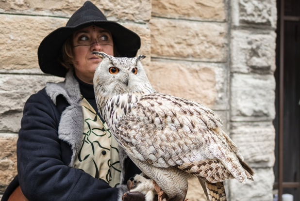 L'étrange Noël des Sorciers 2025 : Hibou
