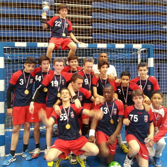 Stade francais handball