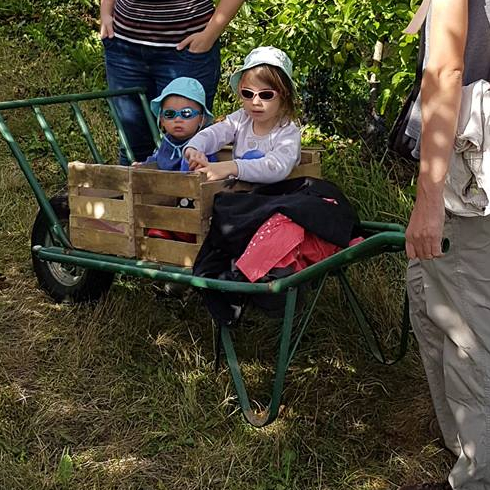 Jardins fruitiers en famille près de Nantes