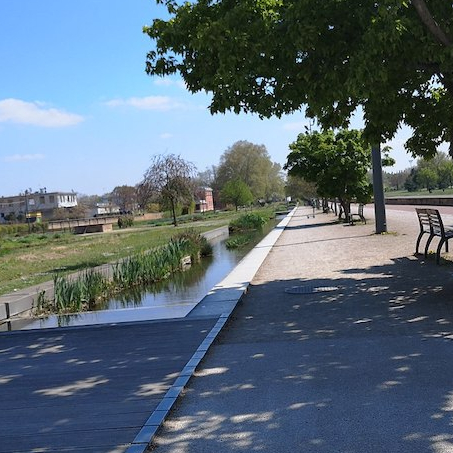 Parc des Berges du Rhône : canaux