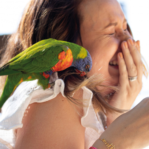 Perroquet sur l'épaule au Parc des Oiseaux - Ain Tourisme