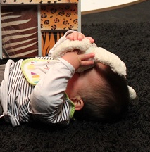 Exposition sensorielle : Délicatesse