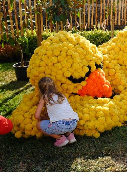 La Folie des Plantes en famille au Parc du Grand Blottereau : poussin