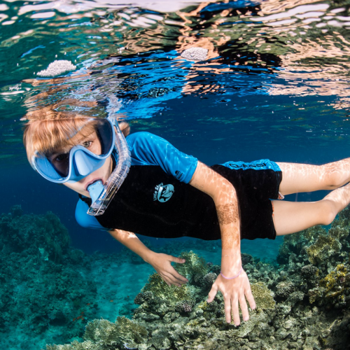 BeFreeToDive  : Un petit garçon découvre les fonds marins avec un masque et un tuba