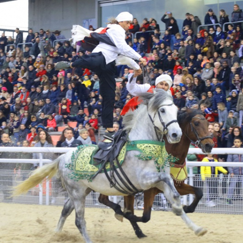 La Route de la Soie : animation Fantasia