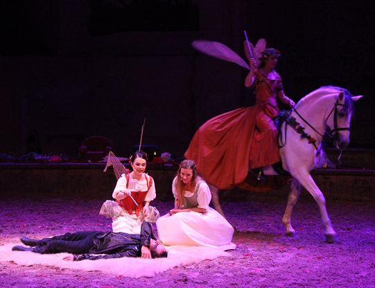 La Reine des songes @CitizenKid