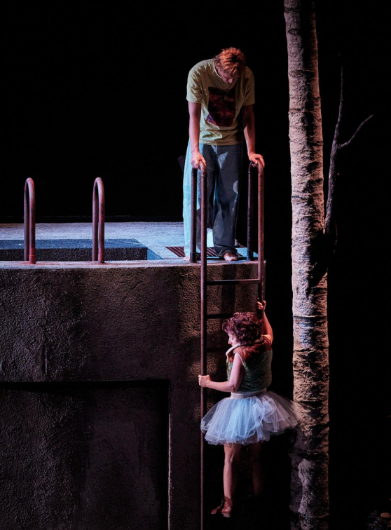 Neige - Pauline Bureau : échelle