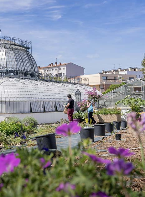 Portes ouvertes des serres municipales