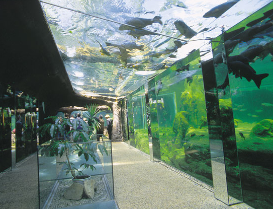 Aquarium du Perigord noir